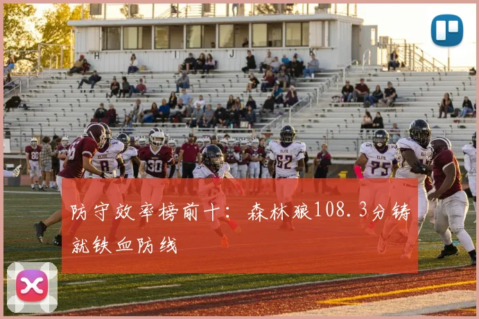 防守效率榜前十：森林狼108.3分铸就铁血防线